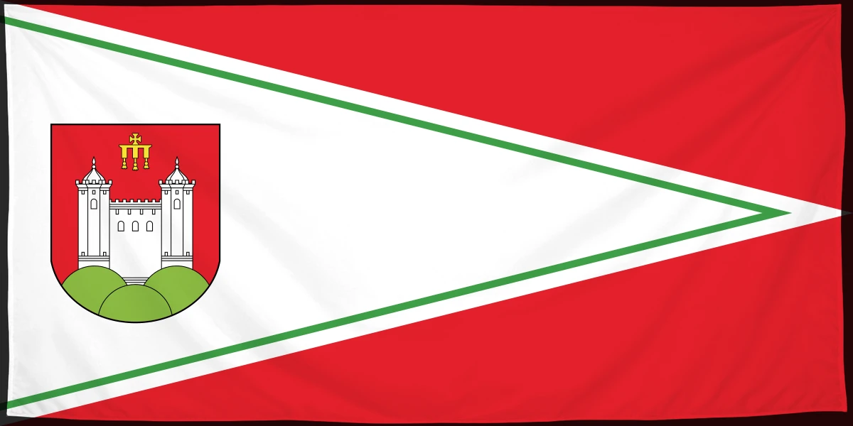 Флаг: Чашникский район